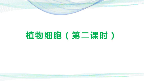 人教版七年级生物上册第二单元第一章第二节《植物细胞》(第二课时)(18张PPT课件)