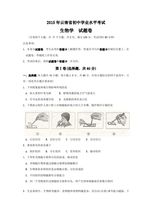 云南省2015年中考生物试题(word版,含答案)