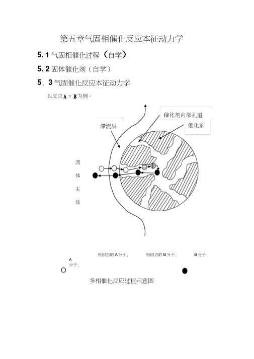 第五章气固相催化反应本征动力学