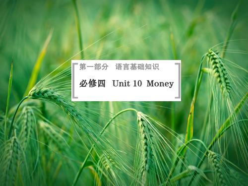 Unit10 Money课件 北师大版必修4课件