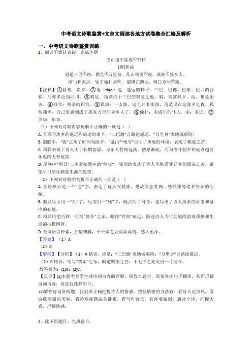 中考语文诗歌鉴赏+文言文阅读各地方试卷集合汇编及解析