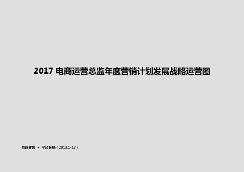 2017电商运营总监年度营销计划发展战略运营图【完整版定稿】