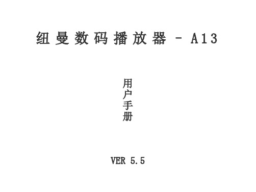 A13说明书-2009.04.25