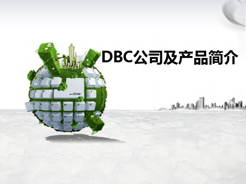 DBC公司及系统简介完整版