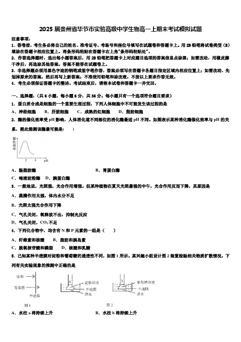 2025届贵州省毕节市实验高级中学生物高一上期末考试模拟试题含解析