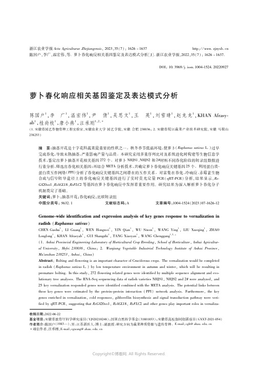 萝卜春化响应相关基因鉴定及表达模式分析