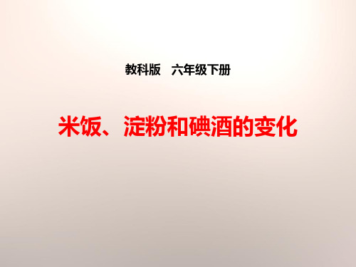 教科版六年级科学下册《米饭、淀粉和碘酒的变化》PPT课件(6篇)