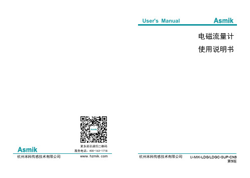 米科-LDG LDGC-SUP电磁流量计 使用说明书