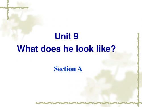 七年级英语《Unit9_What_does_he_look_like_Section_A》课件_(新版)人教新目标版1