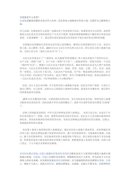 自留地是什么意思