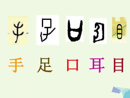 季版一年级语文上册识字2红日圆圆课件1语文S版