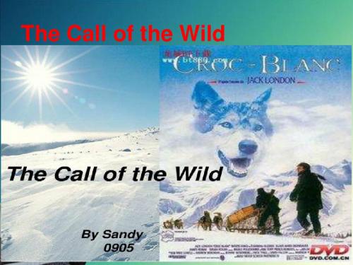 The Call of the Wild(野性的呼唤)