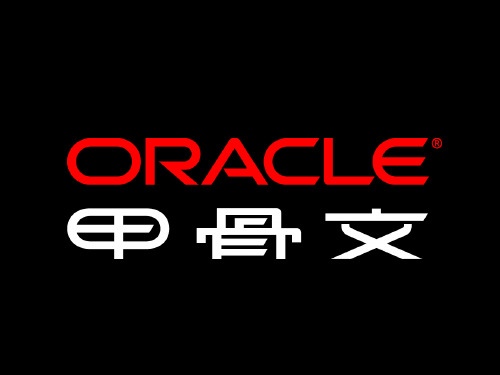 Oracle 的数据仓库解决方案(业界特制)