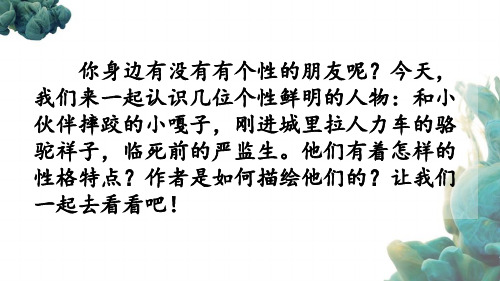 部编人教版统编教材小学语文五年级下册《13 人物描写一组》课件