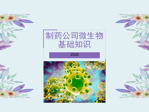 微生物知识2020