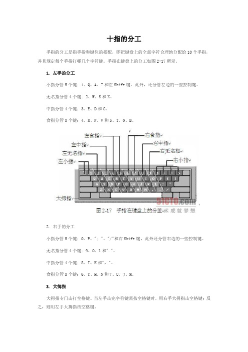 十指的分工