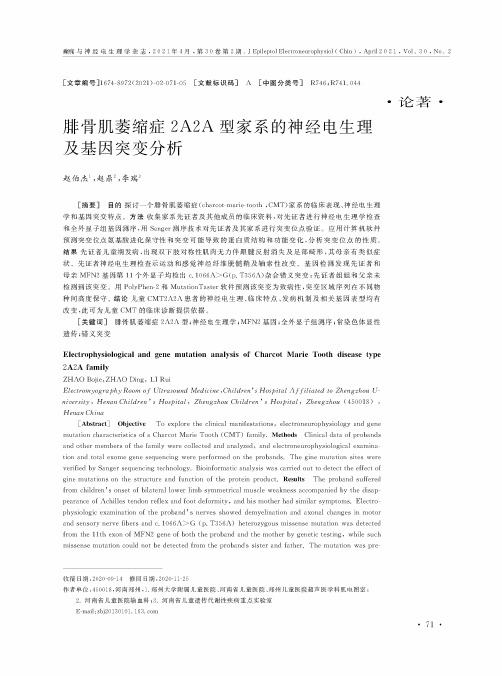 腓骨肌萎缩症2A2A型家系的神经电生理及基因突变分析