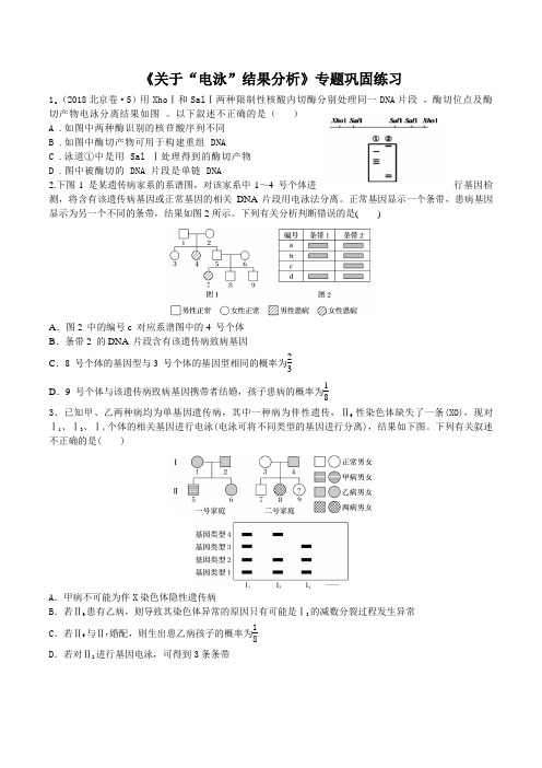 专题7 “电泳图谱” 分析题型归类(习题精练)(原卷版)