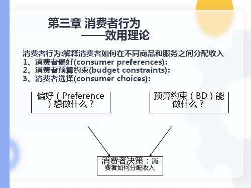 消费者行为理论-效用理论