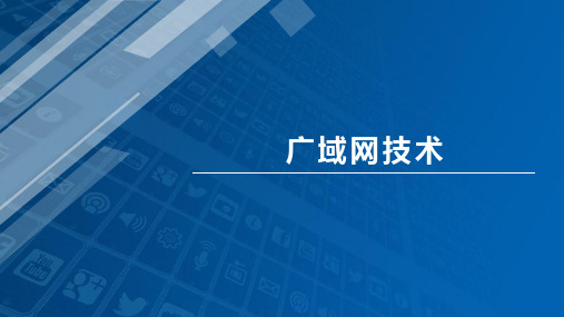 计算机网络技术：数字数据网,帧中继和ADSL技术