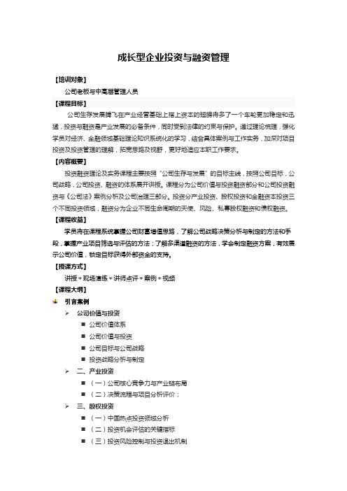 成长型企业投资与融资管理