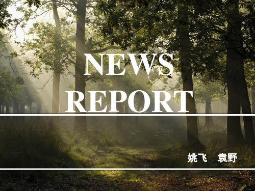 英语NEWS report