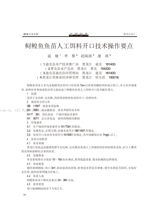 鲟鳇鱼鱼苗人工饵料开口技术操作要点