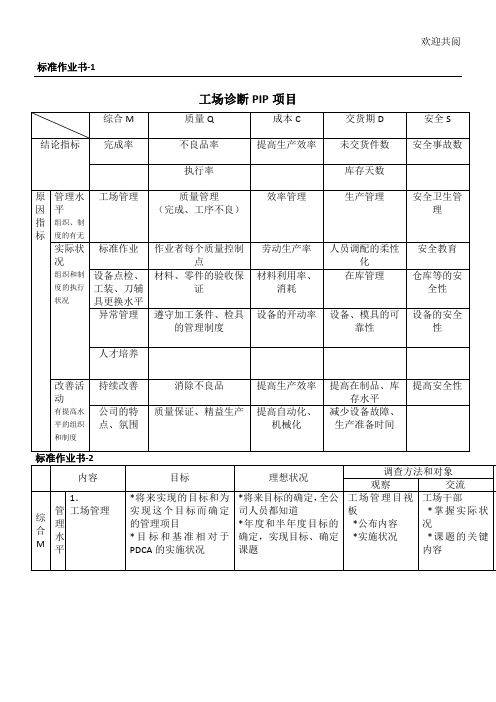 工场诊断PIP项目(1)