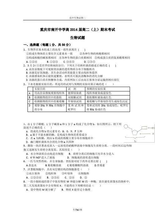 人教版试题试卷重庆南开中学2012-2013学年高2上期生物期末