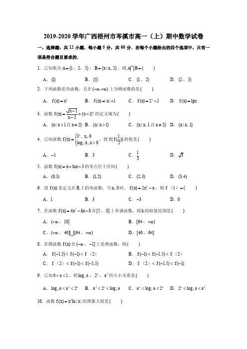 2019-2020学年广西梧州市岑溪市高一(上)期中数学试卷试题及答案(解析版)