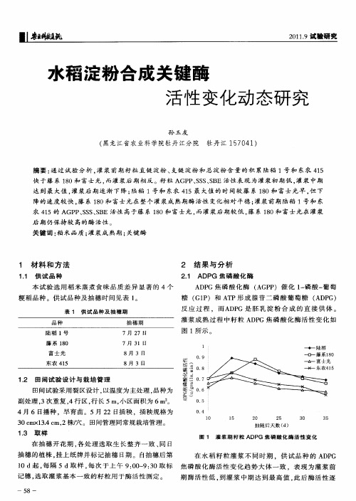 水稻淀粉合成关键酶活性变化动态研究