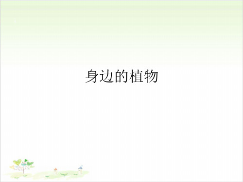 一年级上册公开课- 4 身边的植物-冀教版课件下载