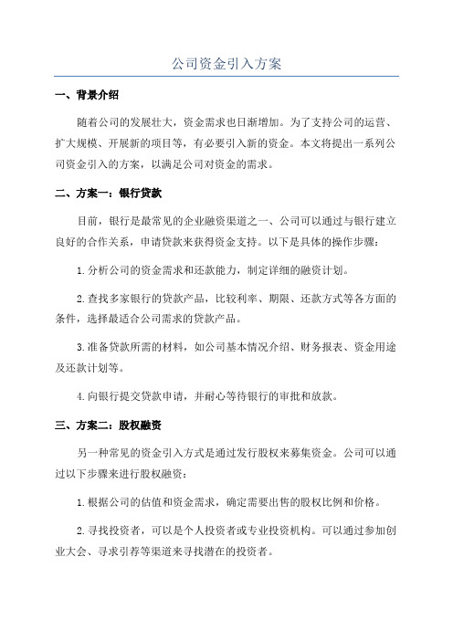 公司资金引入方案