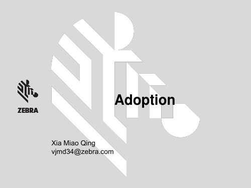 Adoption WING5 实施部署