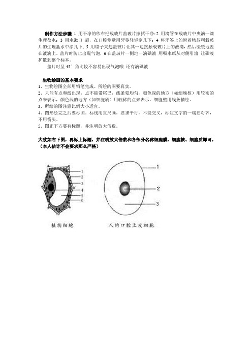 人体口腔上皮细胞装片步骤he绘图