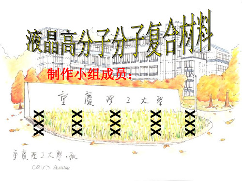 液晶高分子复合材料