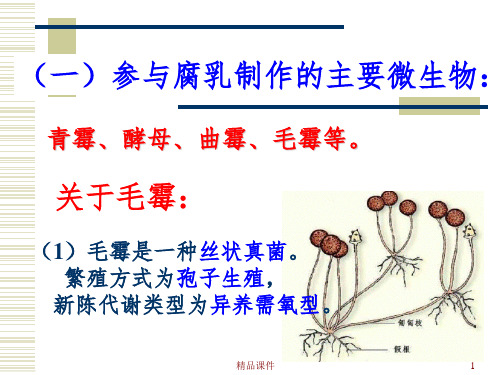 腐乳的制作知识点ppt课件