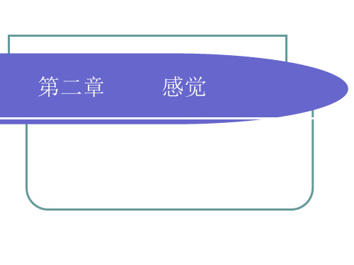 第2章 感知觉(课用)