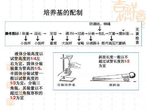 培养基及消毒灭菌