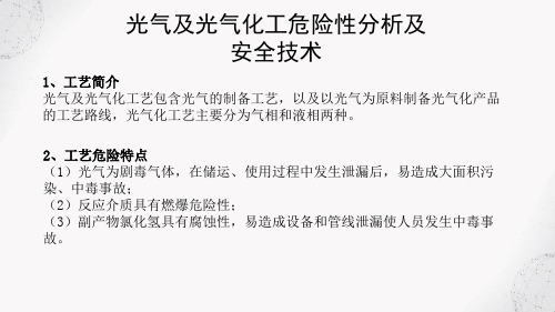 危险化工工艺安全技术 光气及光气化工危险性分析及安全技术