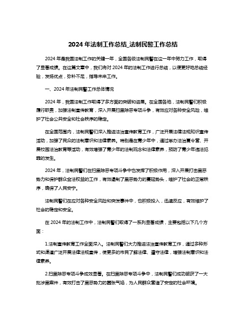 2024年法制工作总结_法制民警工作总结