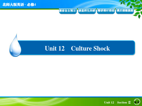 北师大版英语必修四 Unit 12 Culture Shock12-2