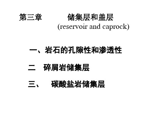 第三章 储盖层(3) PPT课件