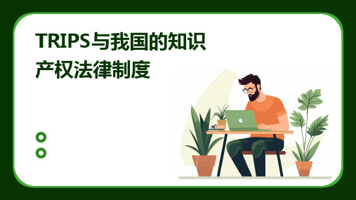 TRIPS与我国的知识产权法律制度