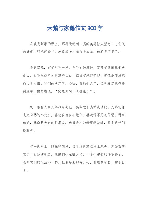 天鹅与家鹅作文300字