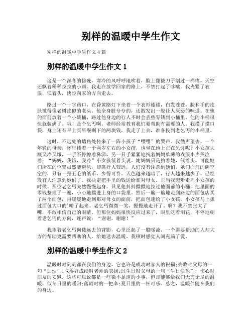 别样的温暖中学生作文