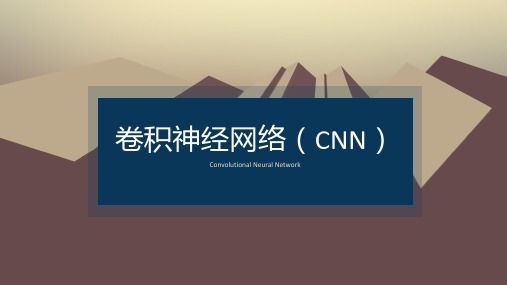 CNN简介