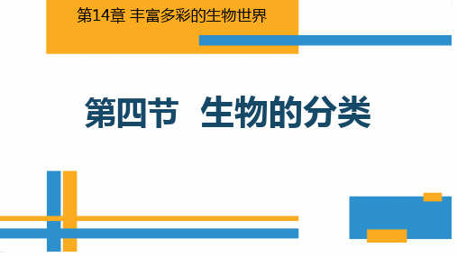 新苏教版八年级生物上册《生物的分类》教学课件