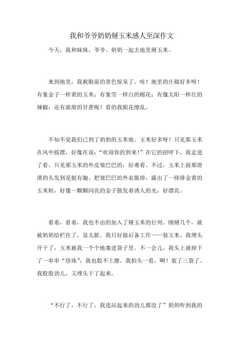 我和爷爷奶奶掰玉米感人至深作文