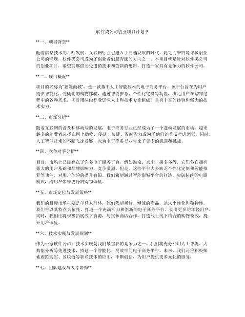 软件类公司创业项目计划书